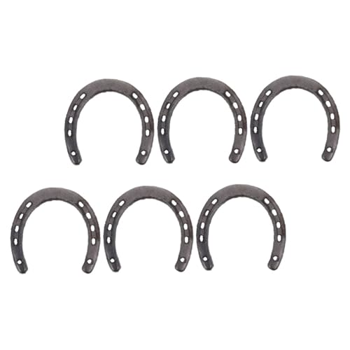 Décoration murale fer à cheval métal suspendu extérieur intérieur vintage VALICLUD 6pcs