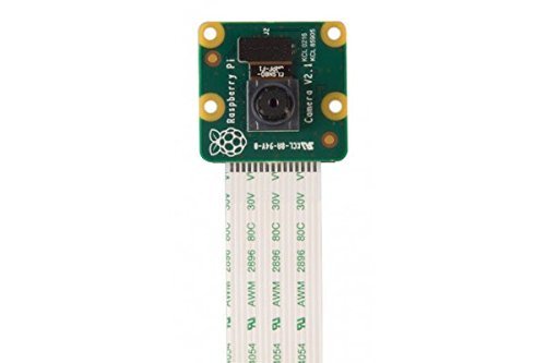 Module caméra V2.1 pour Raspberry Pi avec filtre infrarouge