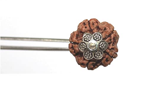 IS4A 5 Face Rudraksha Pendant/ 5 Mukhi Rudraksha Pendant |Certified|2