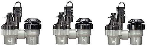 Rain Bird DASASVF075 Professional Grade Anti-Siphon Valve with Flow Control, 3/4