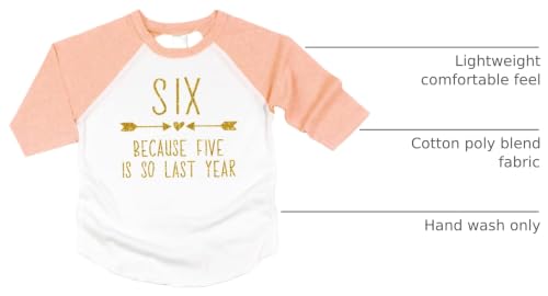 Image of Bump and Beyond Designs Sixth Birthday Girl Shirt SIx Year Old Girl Birthday Outfit