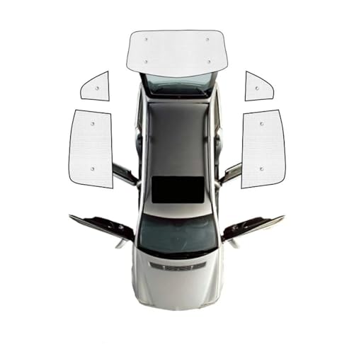 Pare-Soleil Arrière Hyundai Santa Fe 2007-2012 Solution Éblouissement