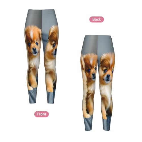 Leggings no se transparentan con estampado de Pomeranias para mujer 5