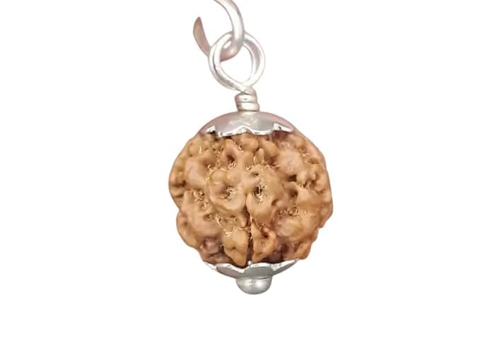 1 Mukhi Rudraksha GOL Dana Original Certified by Lab Round Shape 1 मुखी रुद्राक्ष गोल दाना नेपाली 1 Face Rudraksha GOL Dana.