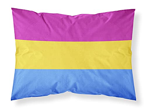 Caroline's Treasures CK8005PILLOWCASE Pansexual Pride Fabric Standard Pillowcase Lightweight Super Soft Easy Care Decorative Artwork Pillowcase, Standard