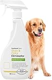Furniture Clinic Urine Remover | Stain & Odor Eliminator For Dogs, Cats, Pets & and Human Urine Removal | Enzyme Activated Urine Spray | Get Urine Off Carpets, Mattresses and other Surfaces, 17 fl oz (500 ml)