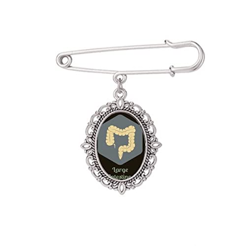 Broche d'intestin pour robe et châle idoine pour vos soirées