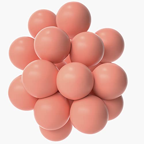 Janinus Dusty Pink Balloons Party Balloons 10 Inches 50 PCS Dusty Rose Party Balloons Dusty Rose Pink Latex Balloons Birthday Balloons For Party