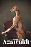 Azawakh: How to train your dog and raise from puppy correctly