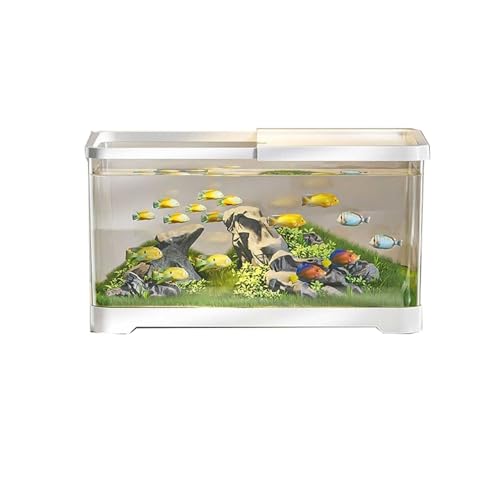 Aquário Aquário de mesa transparente de acrílico com tampa e base para sala de estar pequena, aquário de criação de peixes domésticos Aquário(Branco,Médio)