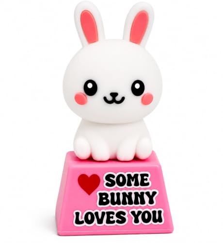 GOOFBALLS Miniature Desk Figurine – Cute & Quirky Office Decor for Desk, Shelf, or Workspace – Fun Tiny Collectible Statue for Adults, Coworkers, or Home Office Gift-Some Bunny Loves You