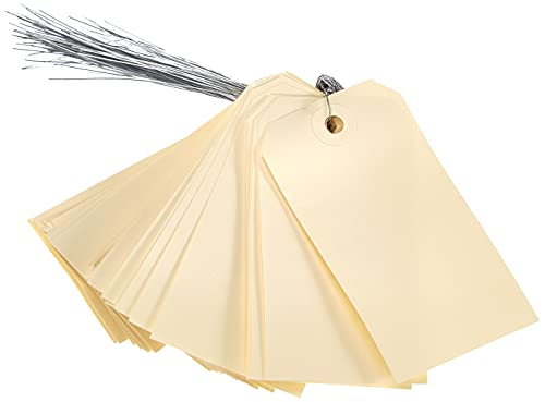 AVERY Boîte de 1000 Étiquettes Américaines Kraft avec Œillet et Fil de Fer 100 x 51 mm Étiquette Prix Étiquette Vêtement Carton Troué pour Boutique...