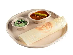 Chuk Pack of 125, Sugarcane Bagasse - 12 Inch Disposable Meal Plates