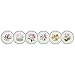 Portmeirion Exotic Botanic Garden Dinner Plate Set with 6 Assorted Motifs