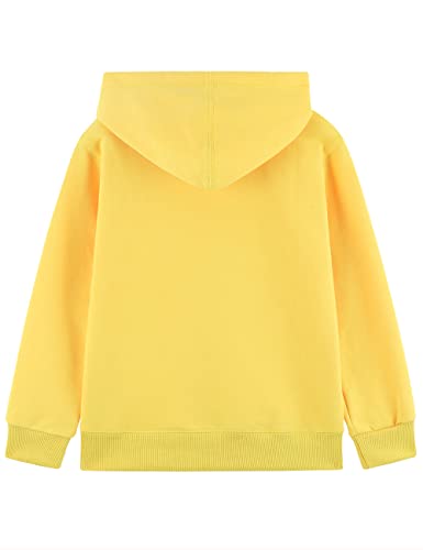 Lista de Sudaderas con capucha para Niño para comprar online. 15 Sudaderas con capucha para Niño marca DILBYKE (3)
