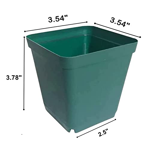 Rootrimmer 90-Pack 9Cm 3.54 X 3.54 Inches Square Nursery Seedling Flower Pot Plastic Thick Seed Start Germination Pot For Plant Propagation And Seeding,Sturdy And Good Looking. #TOP1