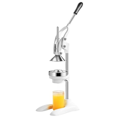 Vzqr 蓮W[T[ XeX| Et[ci W[XvX ƒp/Ɩp dC߂F (zCg)