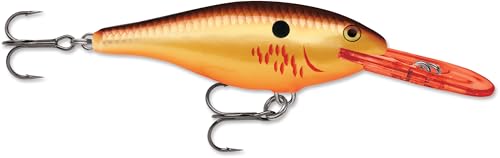 Rapala Shad Rap Crankbait, 2", Bleeding Copper Flash