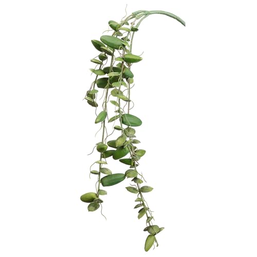 SilksAreForever 24" Real Touch Hanging Artificial Dischidia Ant Plant Stem