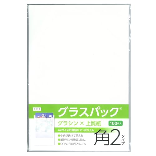 OXpbNyp2^Cvz100 OV/㎿bnbA4Ή  鎆  