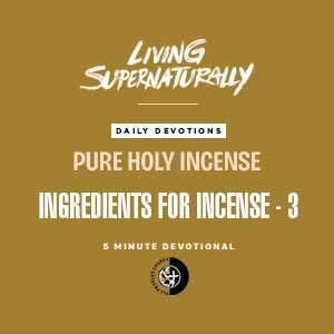 Pure Holy Incense - Ingredients for Incense - 3 (Daily Devotional)
