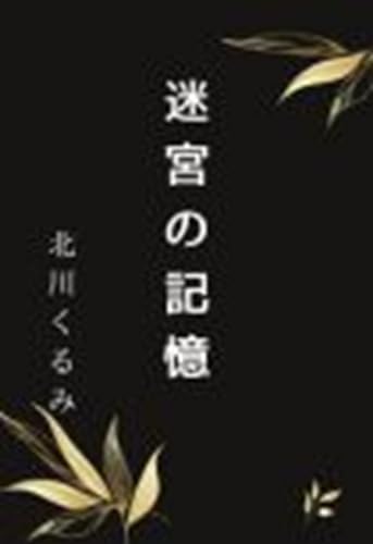迷宮の記憶: 時空を彷徨う 迷宮の記憶 迷宮の記憶: 時空を彷徨う 迷宮の記憶