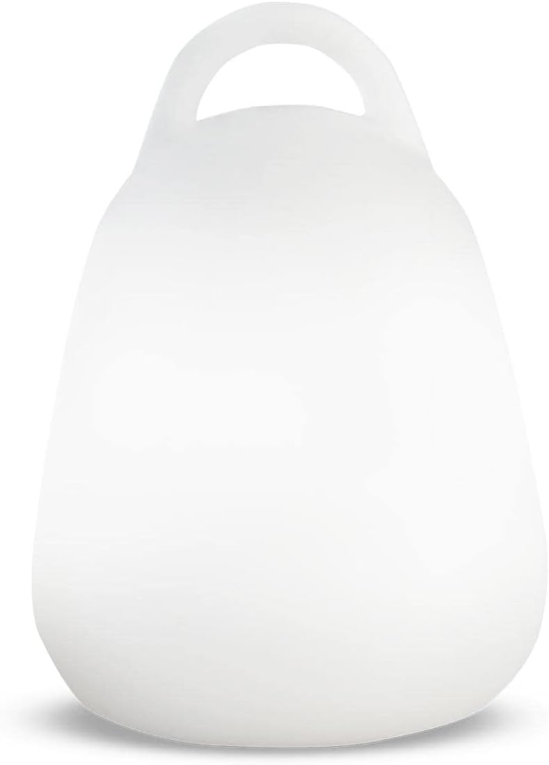 Lumisky PBB1560 Baladeuse Lanterne de Table LED RGB avec Anse + Telecommande 5 W 5 V Multicolore