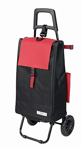 レツプ ショッピングカート 保冷/保温 折りたたみ式 容量40L 軽量 ココロバイカラー ブラック/レッド 496916