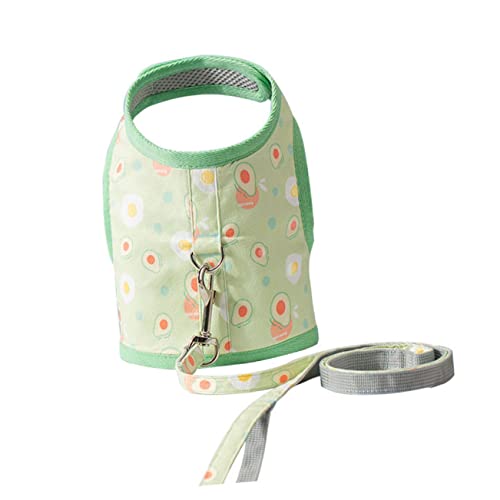 Garneck Pet Supplies Dog Harness with Leash Cat Harness and Leash for Outdoor with Avocado Prints
