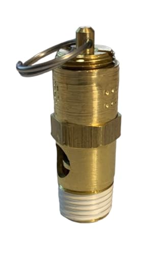 Sellerocity Brand American Made Non-Code Safety Valve 1/4 NPT 10 PSI Soft Seat