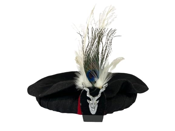 Chitrali Cap with Peacock Feather, Wool Hat BLACK