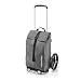 Reisenthel Citycruiser MJ Einkaufstrolley Einkaufsroller Einkaufswagen, Farbe:Twist Silver