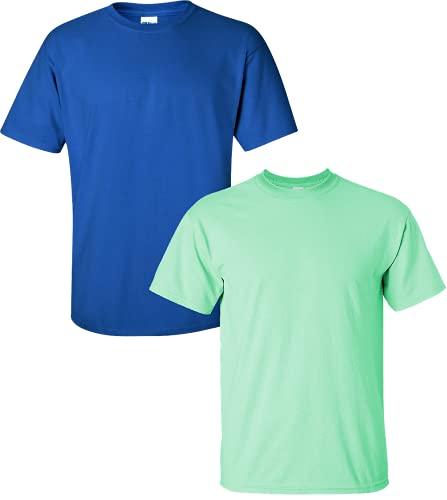 Gildan Men's Ultra Cotton T-Shirt, Style G2000, 2-Pack, Royal/Mint, Large