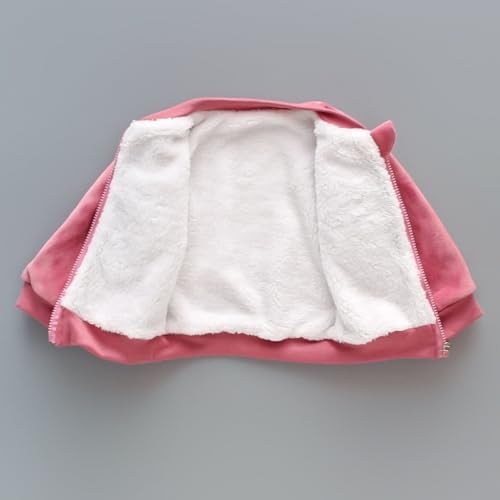 WISREMT Toddler Baby Boys Girls Winter Outfits 3 Pieces Fleece Hooded Vest Long Sleeve Cartoon Jacket and Pants Sets3