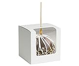 Perfect Stix Candy Apple Boxes with Sticks and Halloween Candy Spoons 4x4x4 Caramel Apple Gift Boxes with Clear Window. Set Includes 10 Boxes, 15 Sticks & 25 Halloween Candy Spoons.