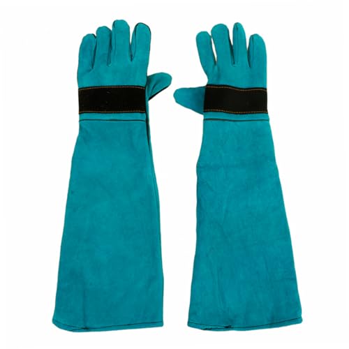 COMPUKAS 1 yA A`oCgO[u p LO[~O L̎