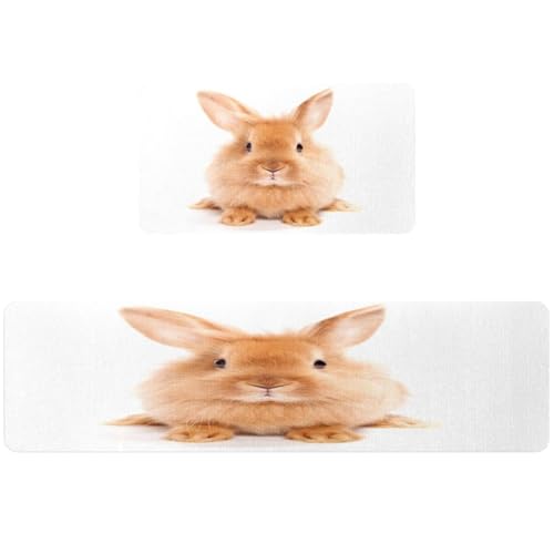 Tapete de cocina para pasillo y cuarto de lavado con estampado de conejo bonito 2