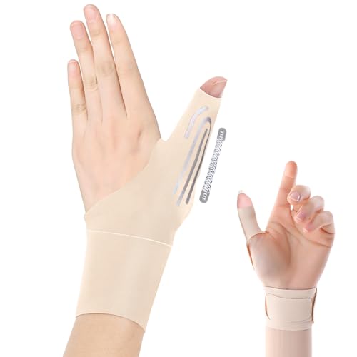  ew T|[^[ yw@m̐EzydŒ/XvOo[z F Œ ی \ ewtT|[^[ ؃g ی h~ ^ y z X|[c Ǝ 玙 p\R/X}z jp (E, x[W)