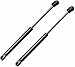 FLYBVJCH 1 Pair of car Trunk Tailgate Gas Spring Struts for Hyundai Creta 2016-2020(OEM-81770A0000)-53.7cm Tailgate Support Rod