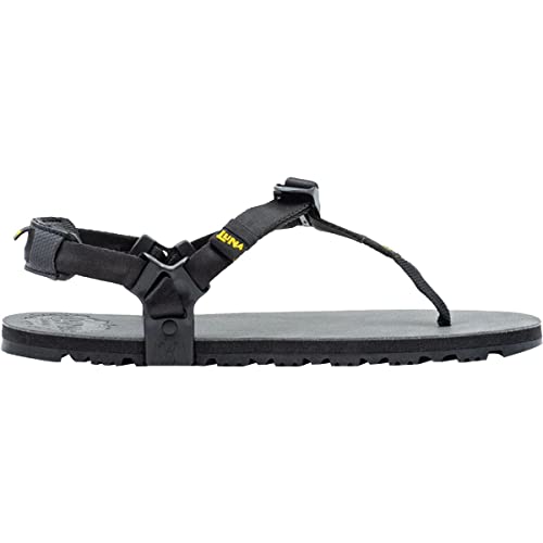 LUNA Sandals, Middle Bear Winged Edition Sandal