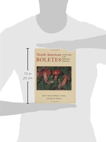 North American Boletes: A Color Guide to the Fleshy Pored Mushrooms - Image 3