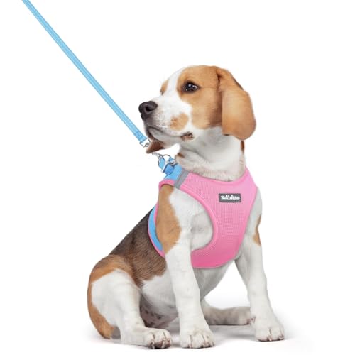 rabbitgoo Hundegeschirr Kleine Hunde mit Leine, Step-in Welpengeschirr Weich Mesh für Spaziergänge, Atmungsaktives Reflektierendes Brustgeschirr für Kleine und Mittelgroße Hunde, Rosa & Hellblau, L