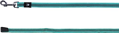 Flamingo Dog Training and tracking leash Xeno Turquoise 15m 20mm, Blue