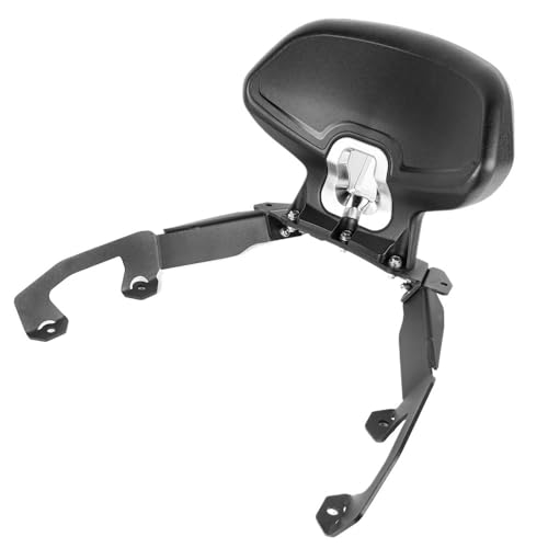 Coussin de Dossier Moto Forza 350 : Confort du Passager en Duo Urbain