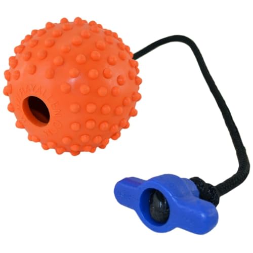 Ray Allen Ball On Rope Toy - Professional Quality Dog Training (Orange w/T-Handle, 3
