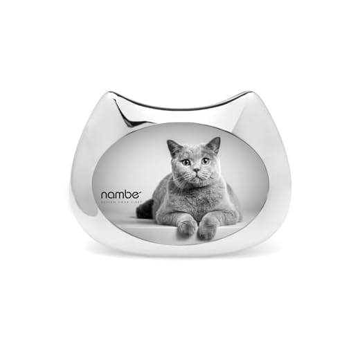 Feline Motif Cat Picture Frame