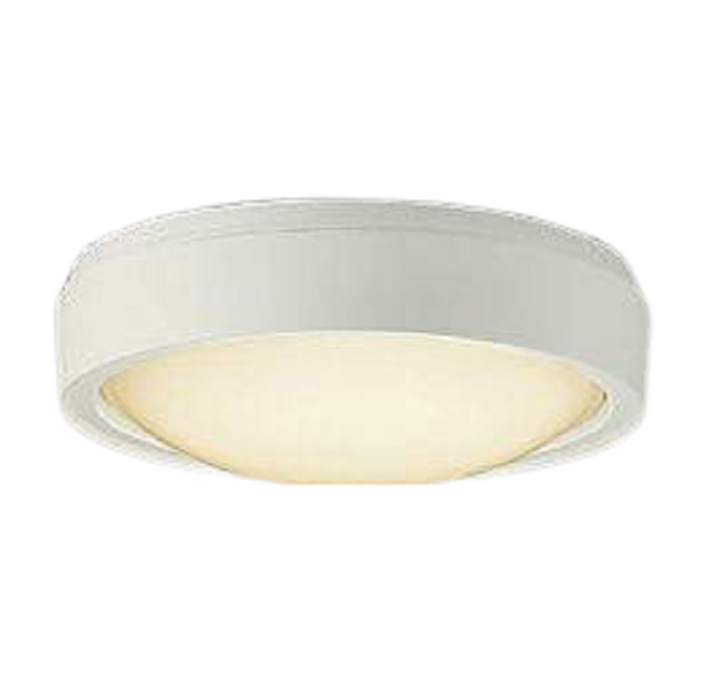 Amazon | 大光電機 非常灯(LED内蔵) LED 9.1W (非常時約70%点灯) 電球