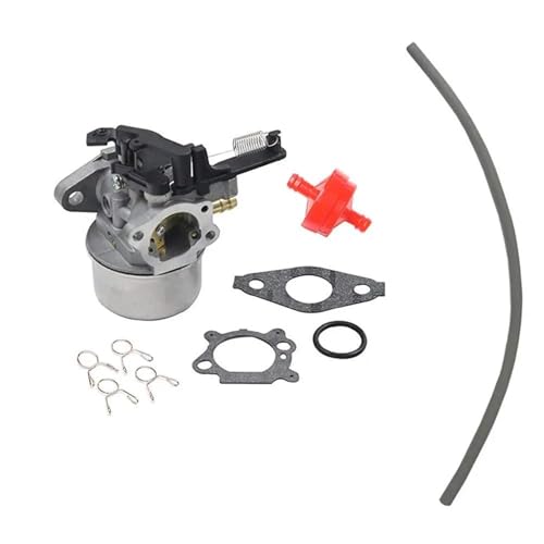 Carburateur tondeuse Briggs Stratton 799248 pour un jardin impeccable