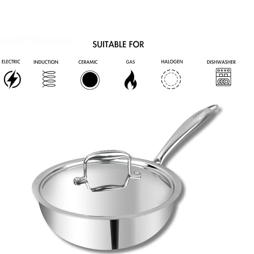 Vinod Platinum Triply Stainless Steel Deep Frying Pan with Lid - 1.8 L, 20 cm | 2.5 mm Thick Tri ply Cookware | Heavy-Bottom Frypan for Healthy, Low-Oil Cooking | Induction and Gas Compatible