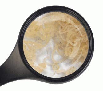 Fischfutter Lebendfutter Freie Auswahl 90 ml Beutel viele Sorten schneller gekühlter Versand (Enchytraeen 90 ml)